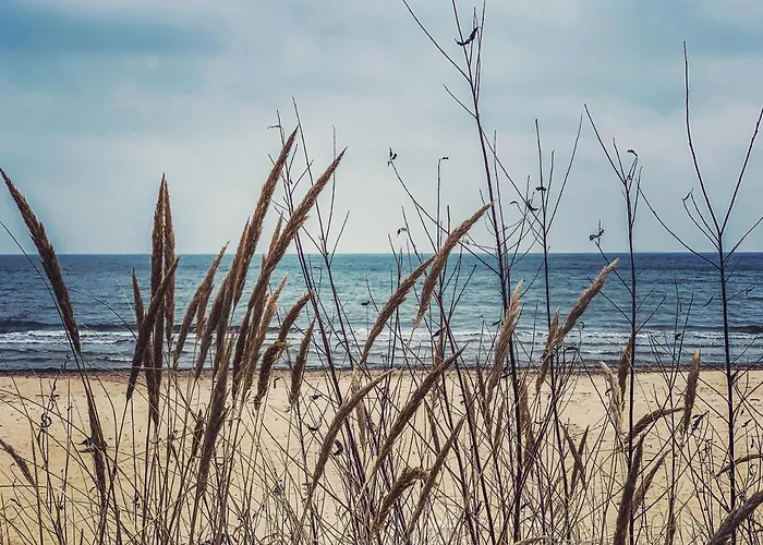 A 200 M Do Plazy Zoppot